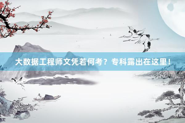 大数据工程师文凭若何考？专科露出在这里！