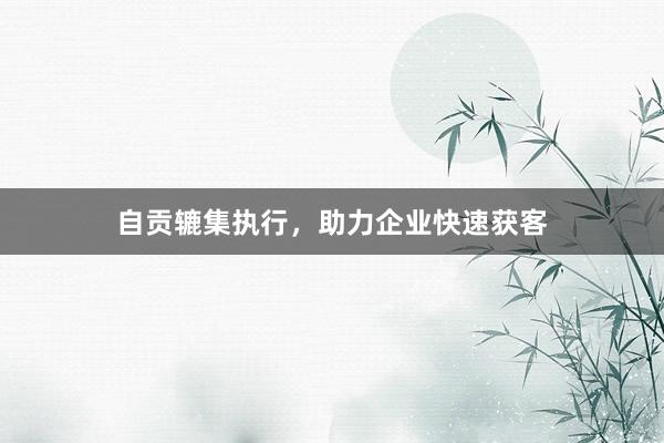 自贡辘集执行，助力企业快速获客