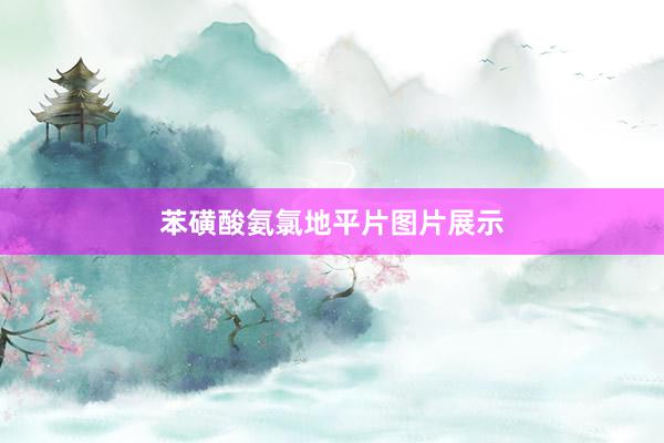 苯磺酸氨氯地平片图片展示